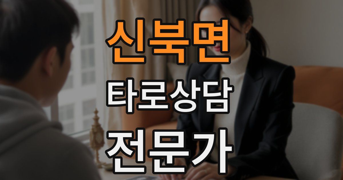 신북면 타로상담전문가 자격증