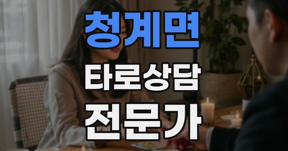 청계면 타로상담전문가 자격증
