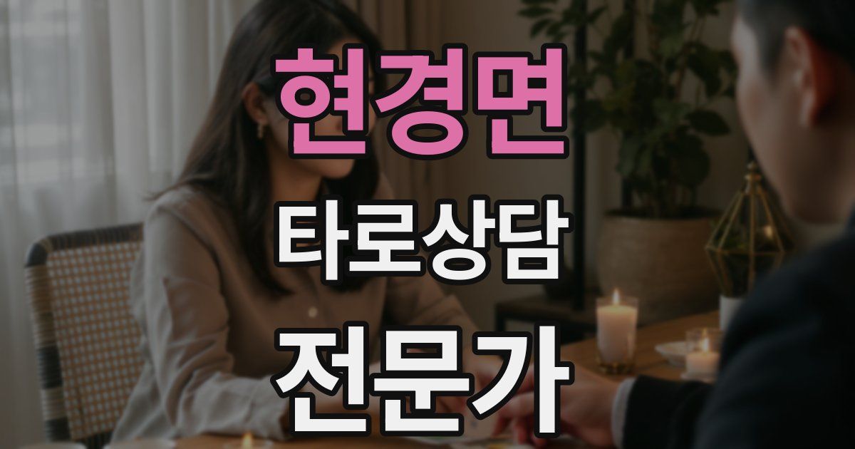 현경면 타로상담전문가 자격증