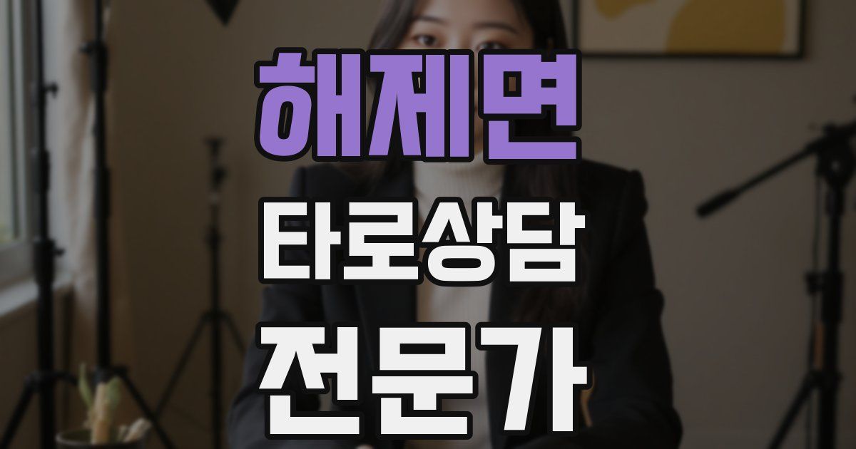 해제면 타로상담전문가 자격증