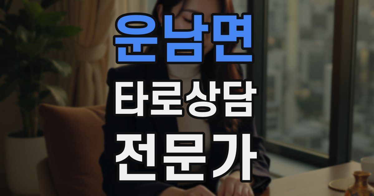 운남면 타로상담전문가 자격증
