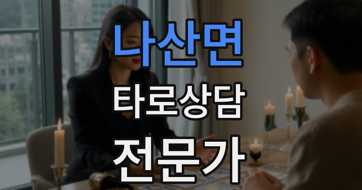 나산면 타로상담전문가 자격증