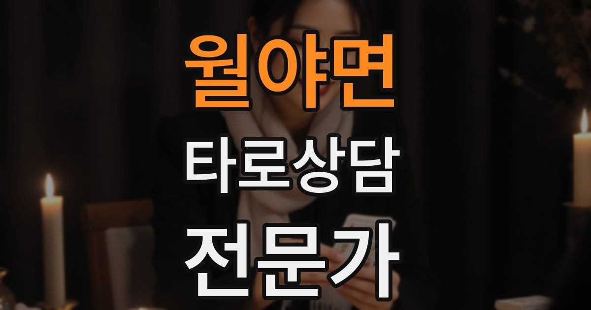 월야면 타로상담전문가 자격증