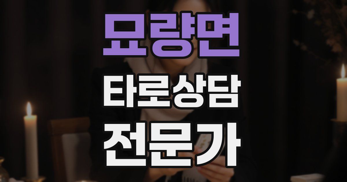 묘량면 타로상담전문가 자격증