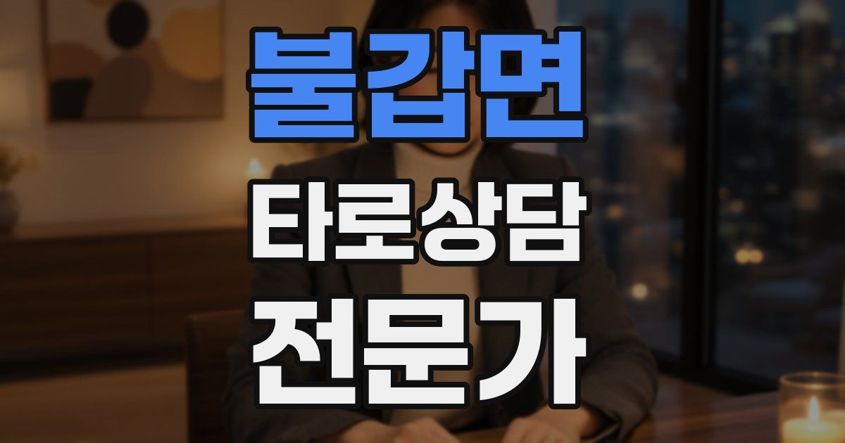 불갑면 타로상담전문가 자격증