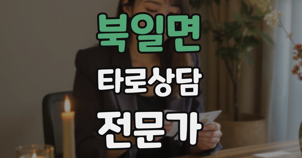 북일면 타로상담전문가 자격증