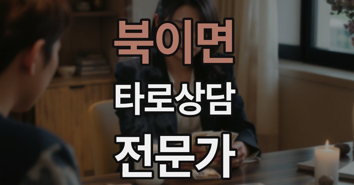 북이면 타로상담전문가 자격증