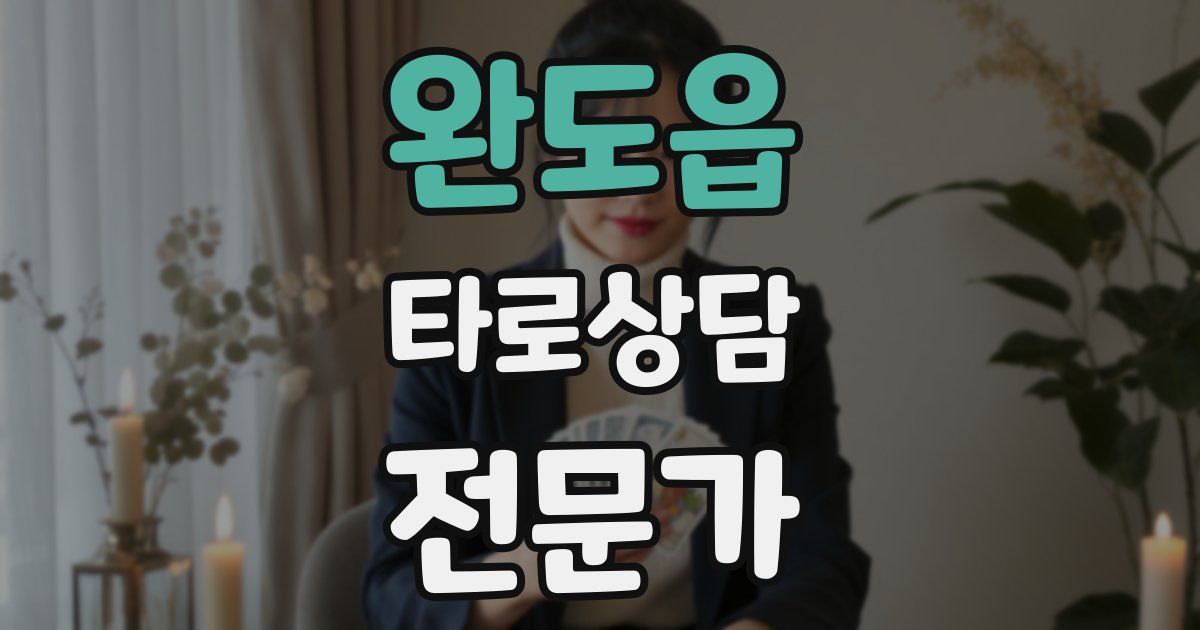 완도읍 타로상담전문가 자격증