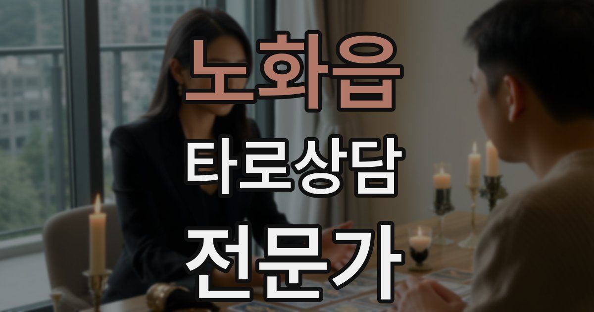 노화읍 타로상담전문가 자격증