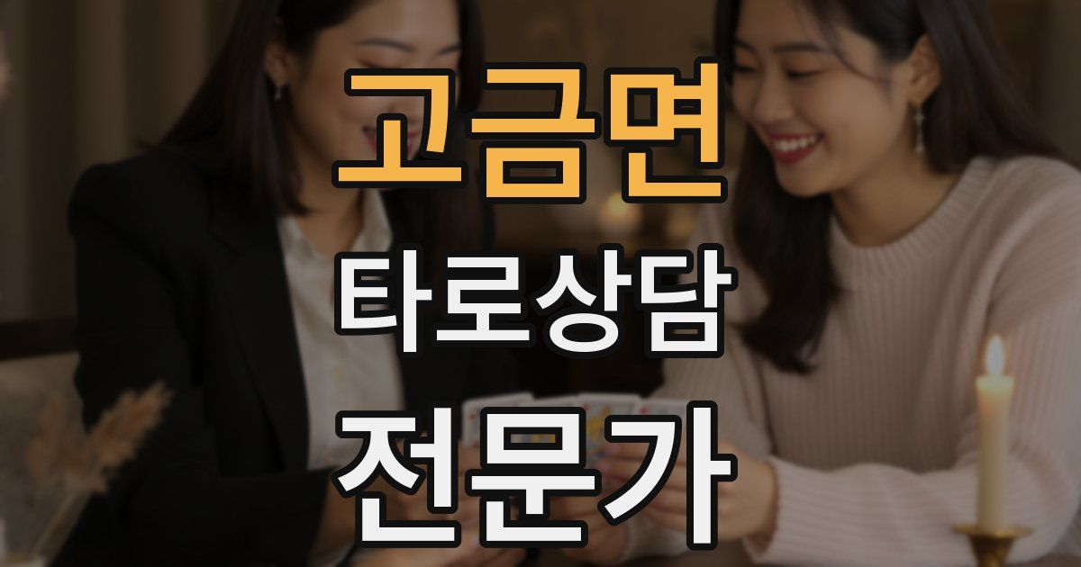 고금면 타로상담전문가 자격증