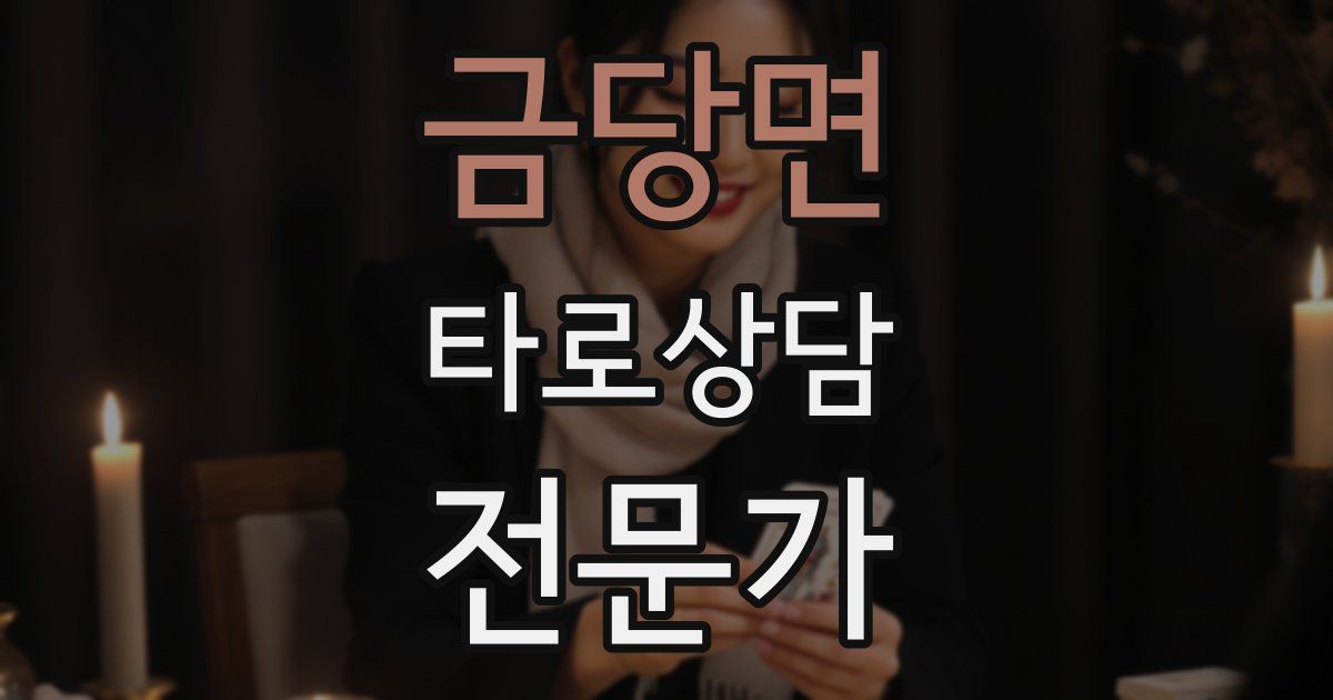 금당면 타로상담전문가 자격증