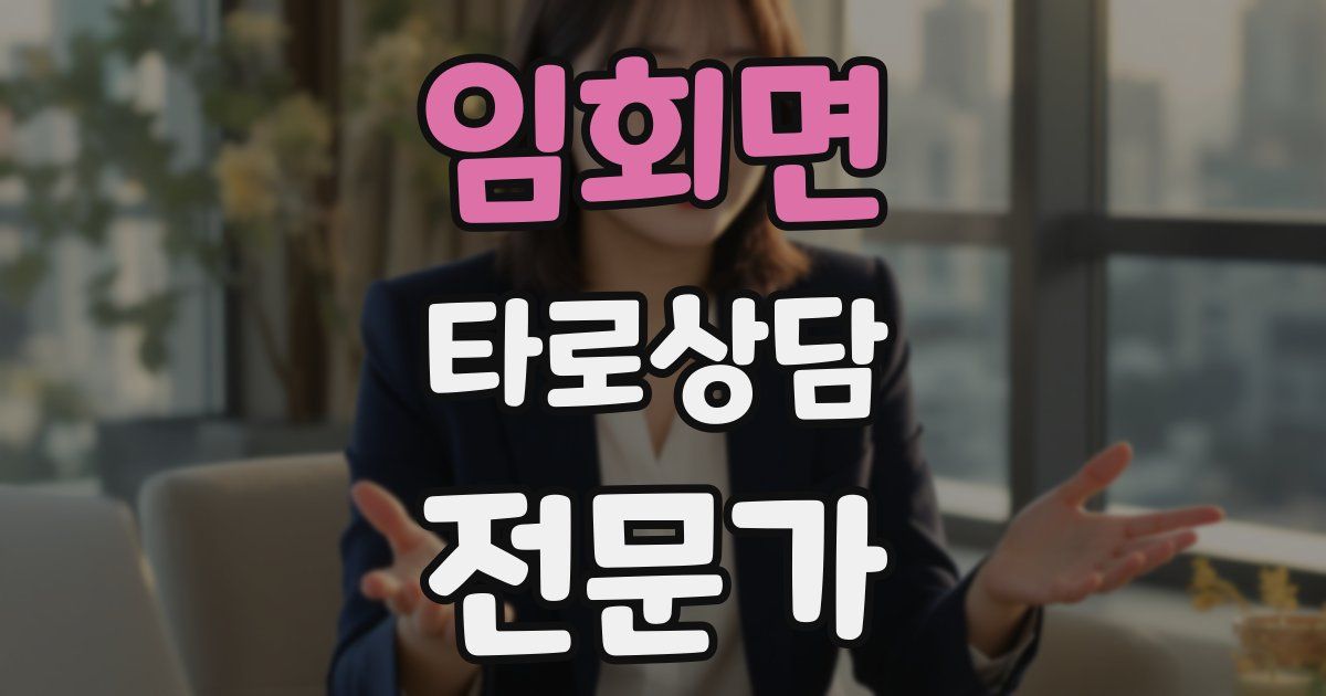 임회면 타로상담전문가 자격증