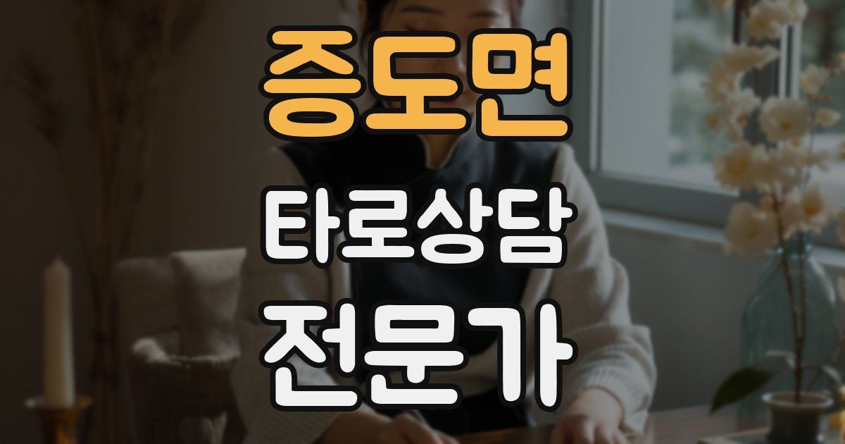 증도면 타로상담전문가 자격증