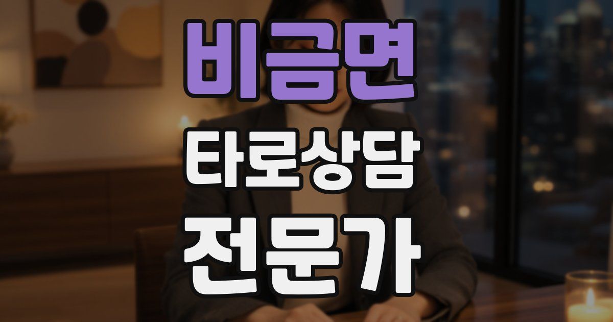 비금면 타로상담전문가 자격증
