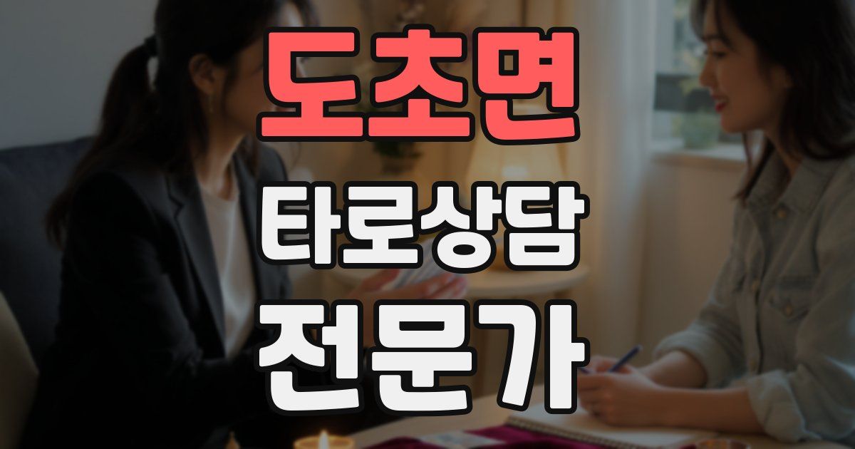 도초면 타로상담전문가 자격증