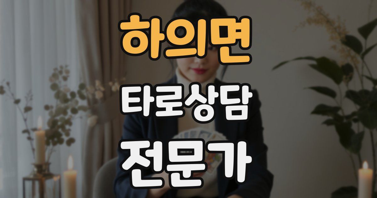 하의면 타로상담전문가 자격증