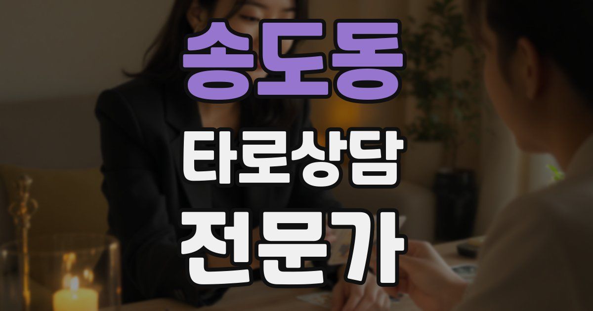 송도동 타로상담전문가 자격증