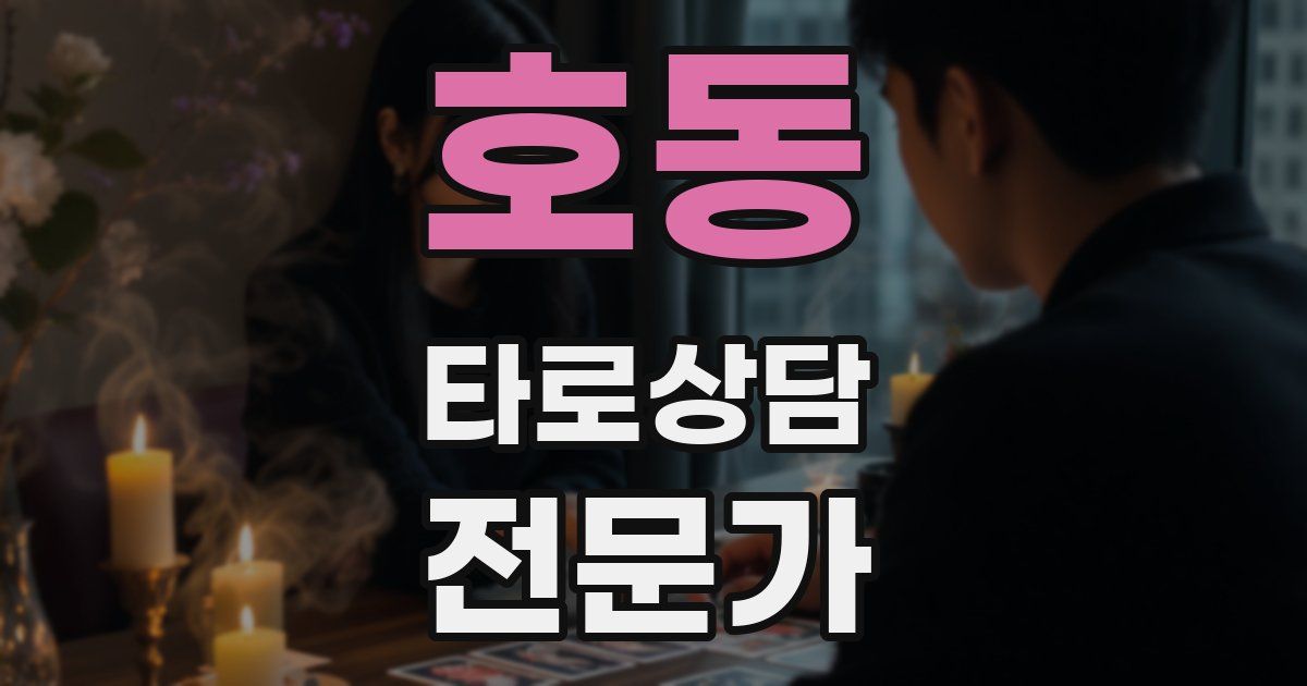 호동 타로상담전문가 자격증