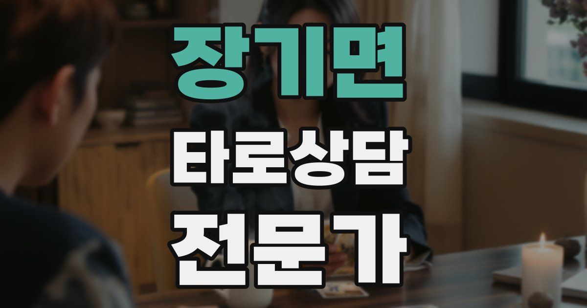 장기면 타로상담전문가 자격증
