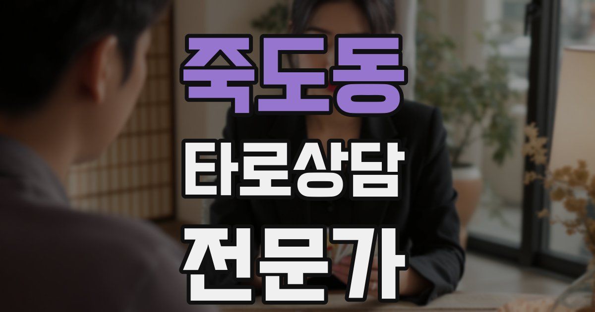 죽도동 타로상담전문가 자격증