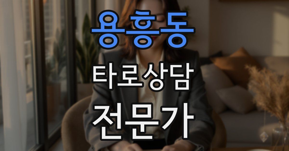 용흥동 타로상담전문가 자격증