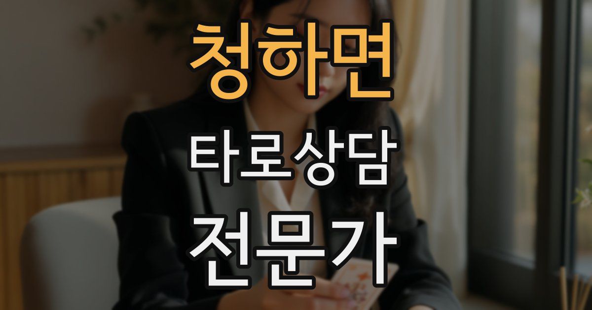 청하면 타로상담전문가 자격증