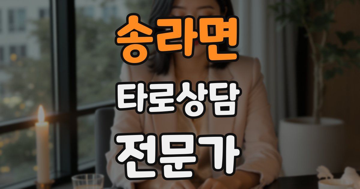 송라면 타로상담전문가 자격증