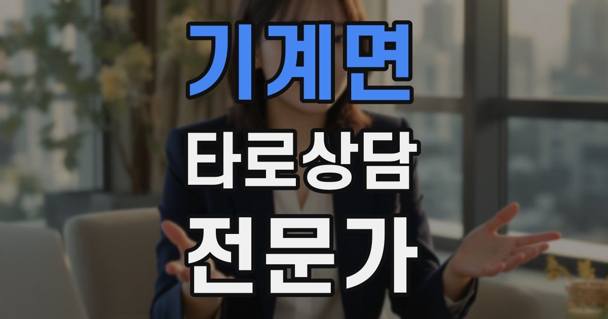 기계면 타로상담전문가 자격증