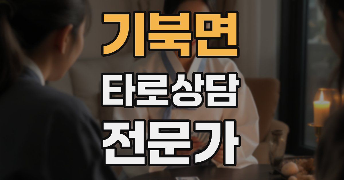 기북면 타로상담전문가 자격증