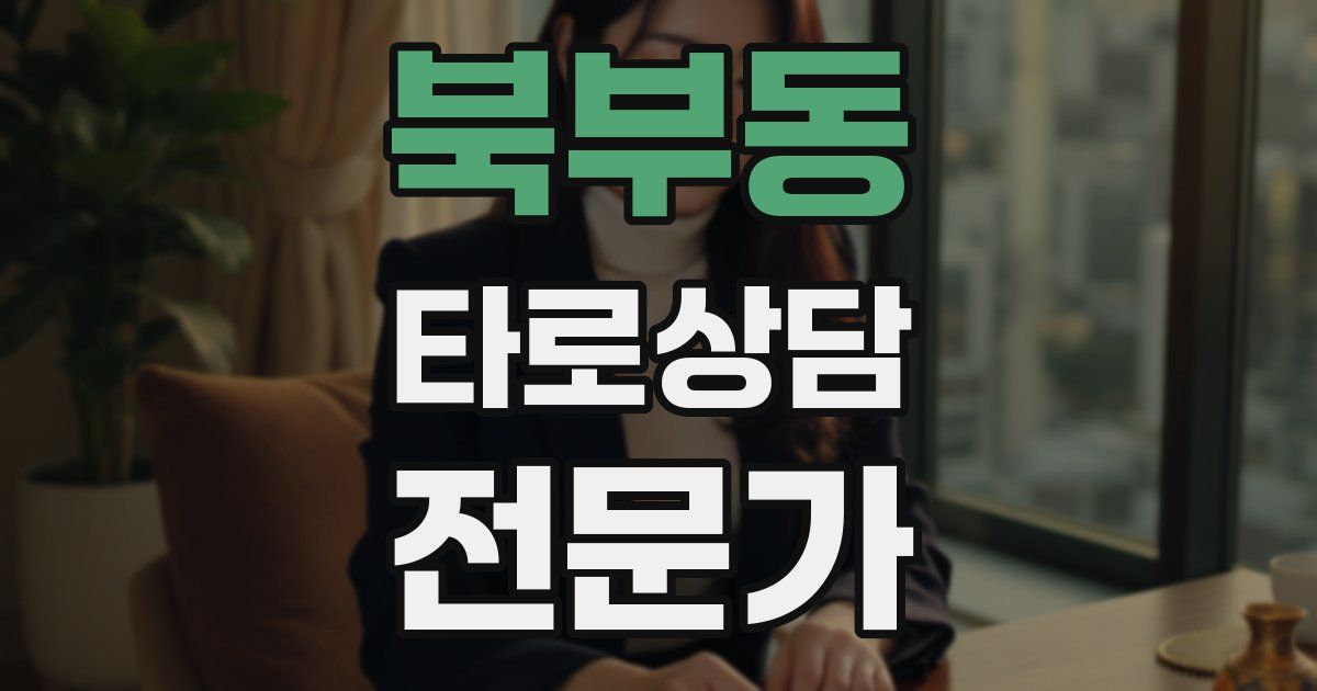 북부동 타로상담전문가 자격증