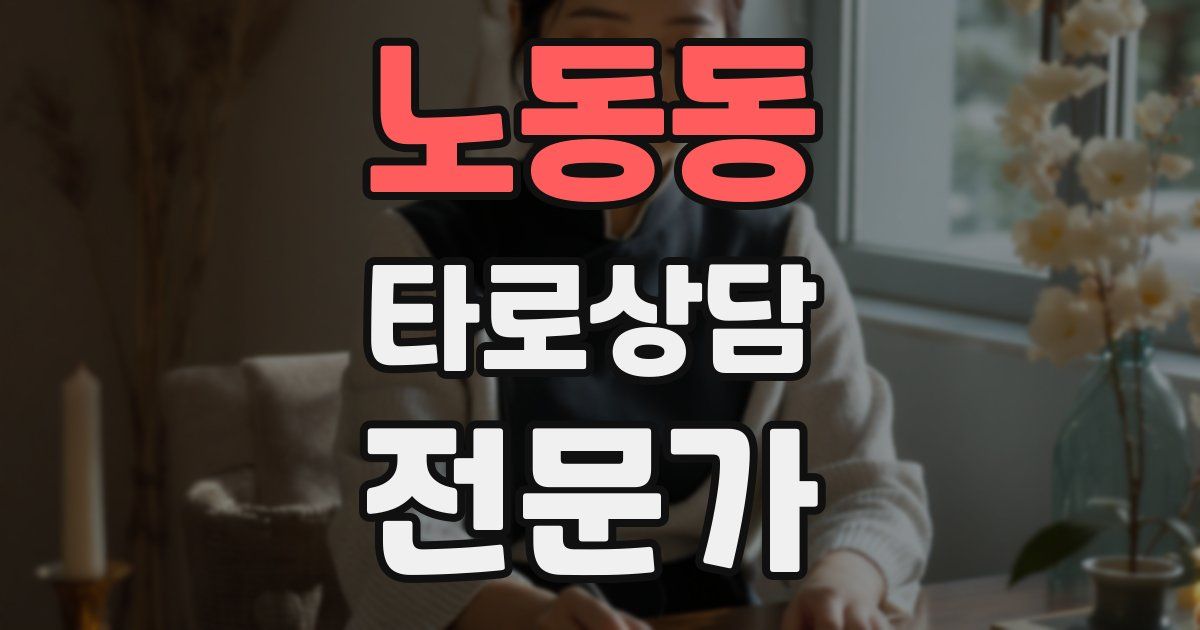 노동동 타로상담전문가 자격증