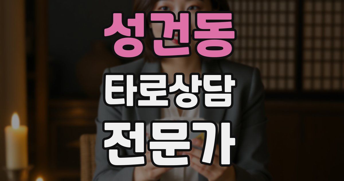 성건동 타로상담전문가 자격증