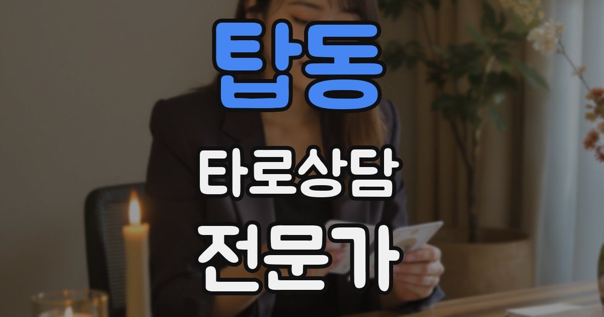 탑동 타로상담전문가 자격증