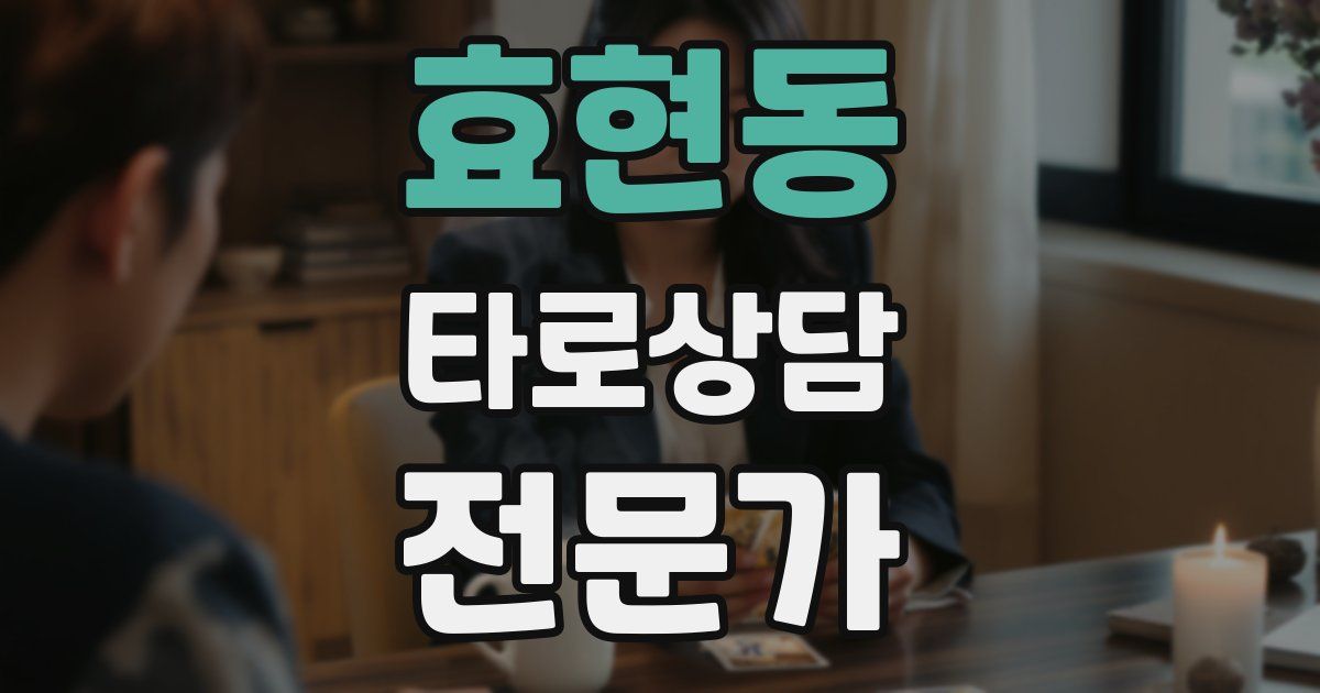 효현동 타로상담전문가 자격증