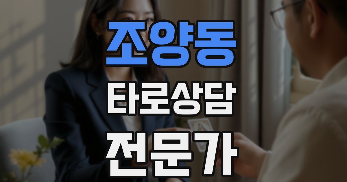 조양동 타로상담전문가 자격증