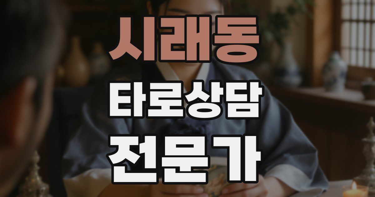 시래동 타로상담전문가 자격증