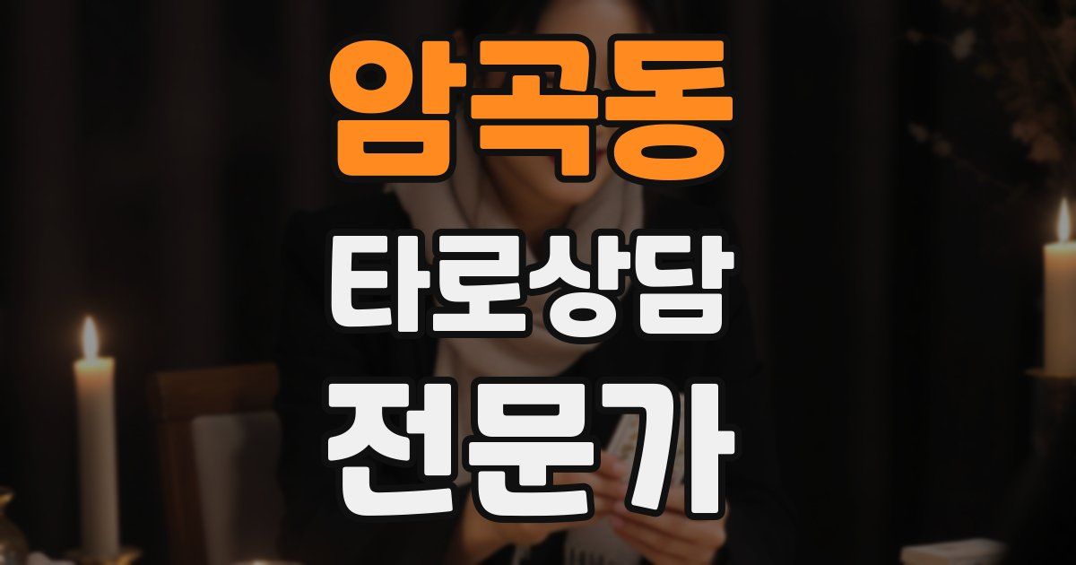 암곡동 타로상담전문가 자격증