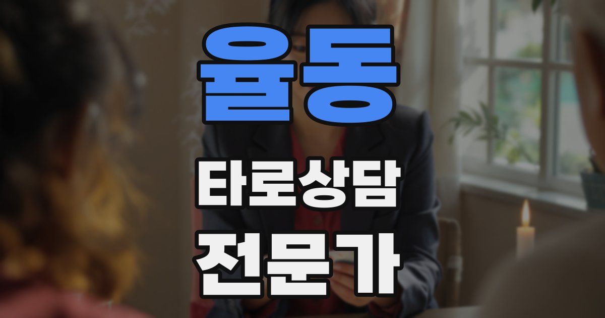 율동 타로상담전문가 자격증