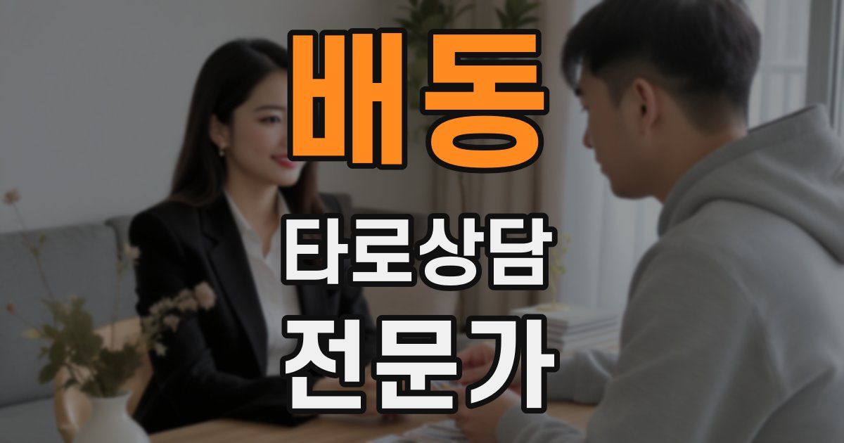 배동 타로상담전문가 자격증