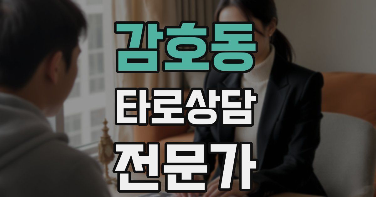 감호동 타로상담전문가 자격증
