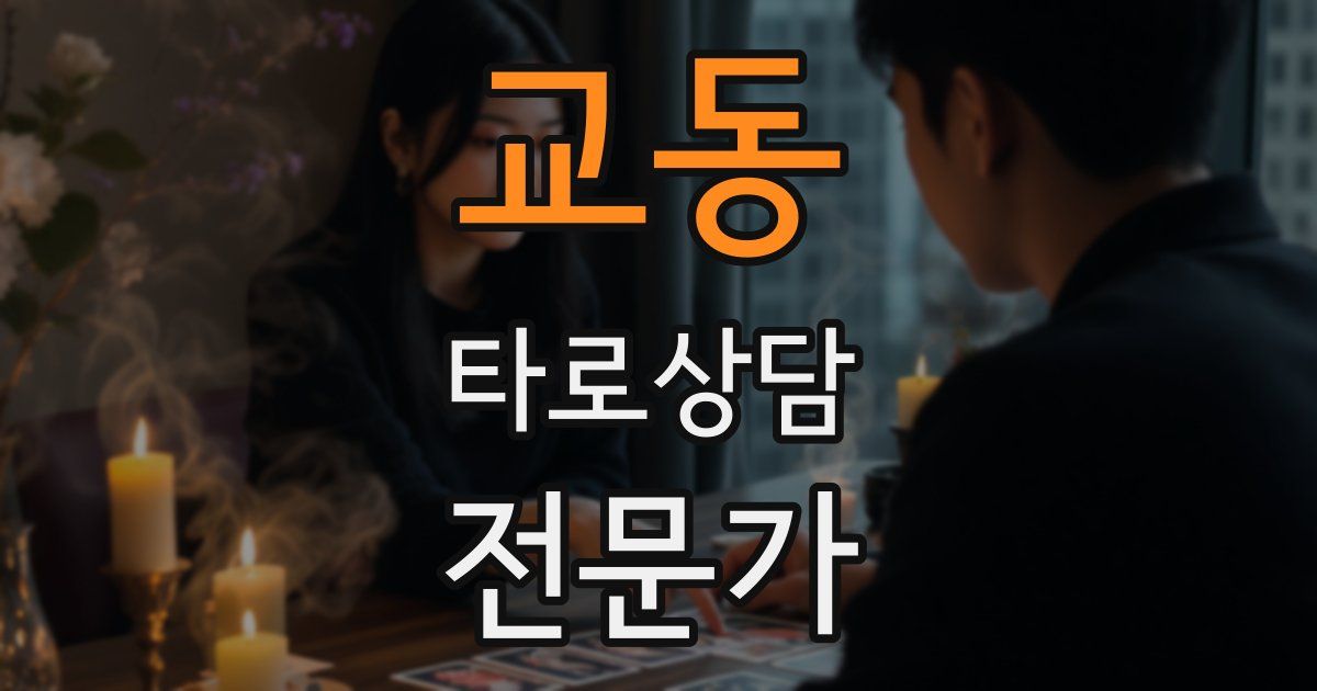 교동 타로상담전문가 자격증