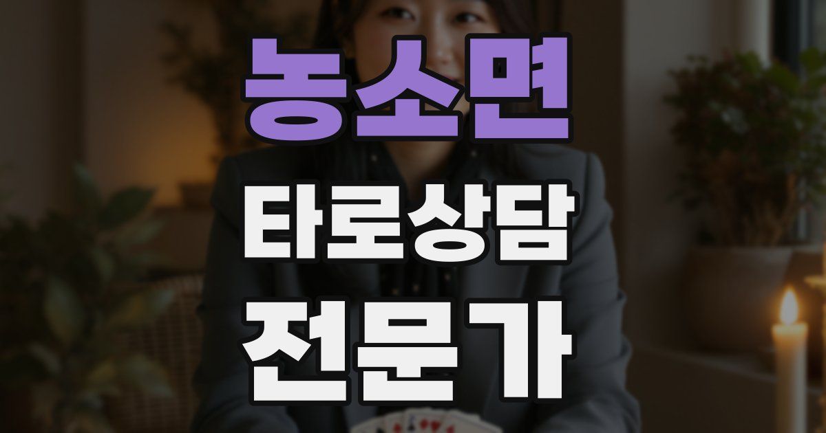 농소면 타로상담전문가 자격증