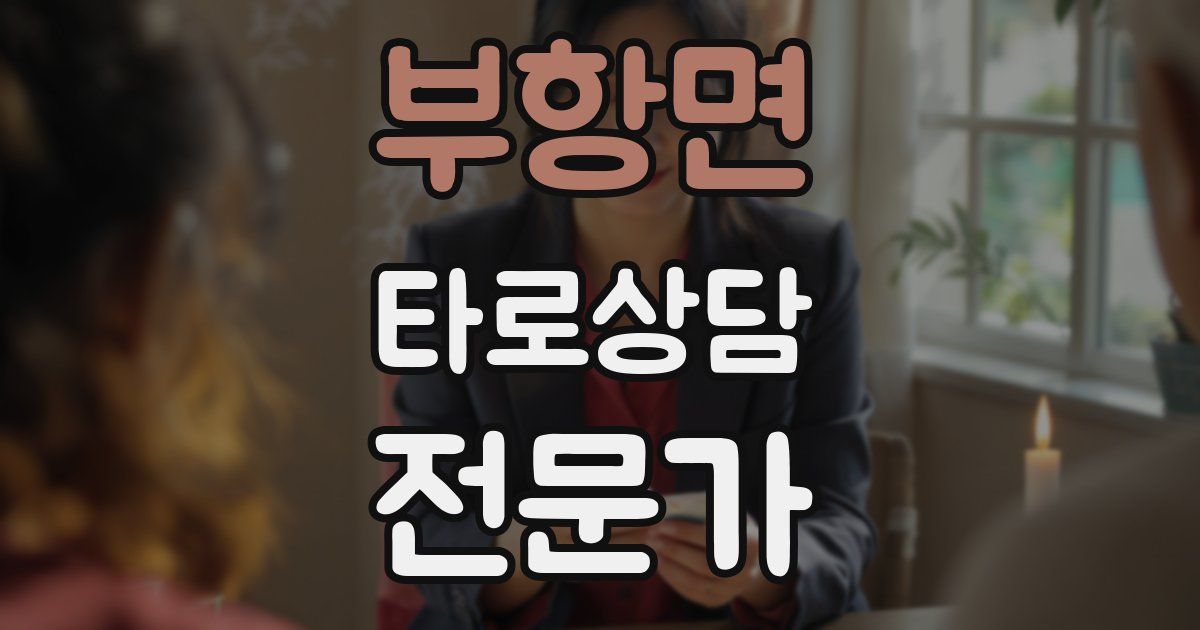 부항면 타로상담전문가 자격증