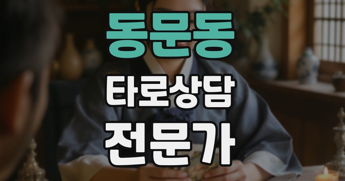 동문동 타로상담전문가 자격증
