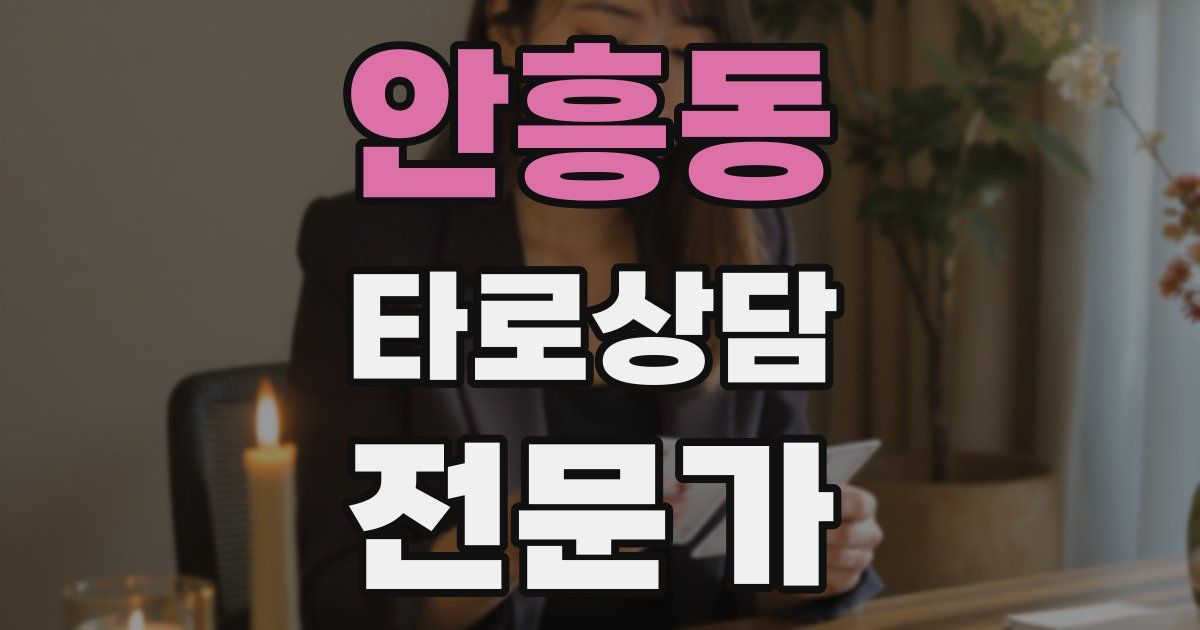 안흥동 타로상담전문가 자격증