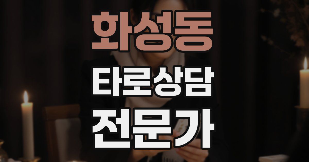 화성동 타로상담전문가 자격증