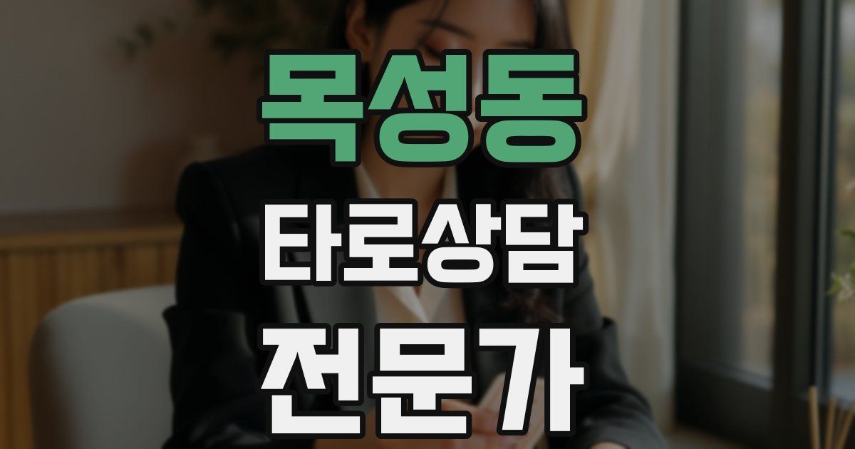 목성동 타로상담전문가 자격증