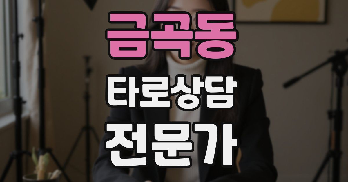 금곡동 타로상담전문가 자격증