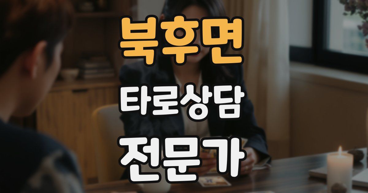 북후면 타로상담전문가 자격증