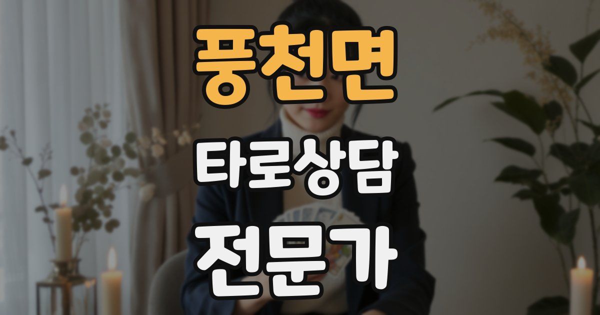 풍천면 타로상담전문가 자격증